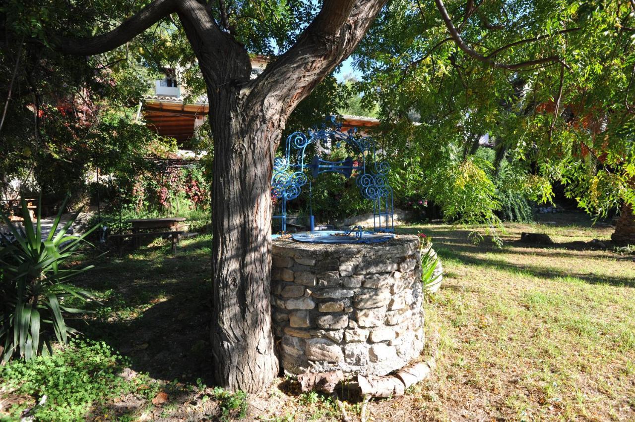 Villa Theodora View Apartments Zeys Агиос Георгиос Пагон Екстериор снимка